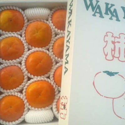 【厳選・産直】和歌山産富有柿約4kg 化粧箱入り(2L～4Lサイズおまかせ)【日高川町】