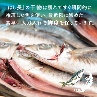 宮子あじ(自家製干物)5枚入　和歌山県優良県産品「プレミア和歌山」認定品