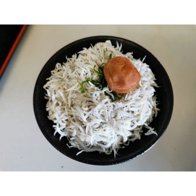釜揚げしらす600g(300g×2箱)(日高川町)