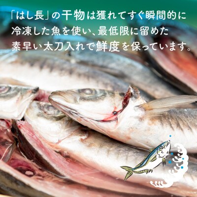 紀州干物セット(5種約12枚入)