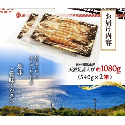 紀州和歌山産天然足赤えび540g×2箱(270g×4パック)　化粧箱入