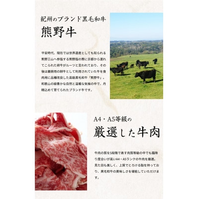 熊野牛A4以上ヒレシャトーブリアンステーキ200g(100g×2枚)&霜降り赤身こま切れ300g