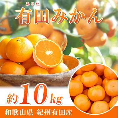 【2026年11月下旬より発送】完熟有田みかん　10kg