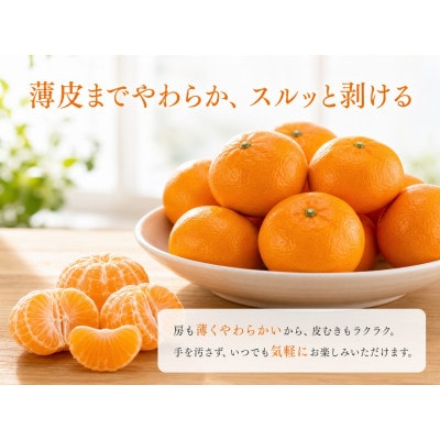 赤秀品　紀州和歌山ハウスみかん約2.5kg