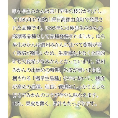 紀州和歌山有田産ゆら早生みかん　5kg