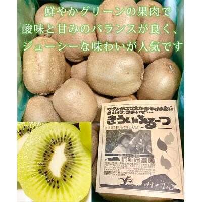 紀州かつらぎ山のキウイフルーツ約3kg