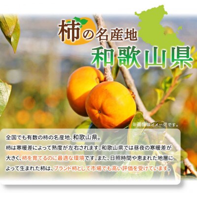 【ご家庭用わけあり】和歌山秋の味覚　富有柿　約3.5kg