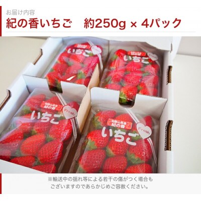 紀州和歌山ブランドいちご「紀の香」約250g×4P