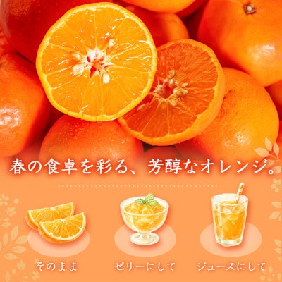 ジューシー柑橘　セミノールオレンジ　5kg
