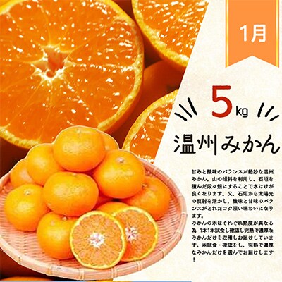 【発送月固定定期便】紀州和歌山産旬のフルーツセット(みかん・紀州デコ・清見)全3回