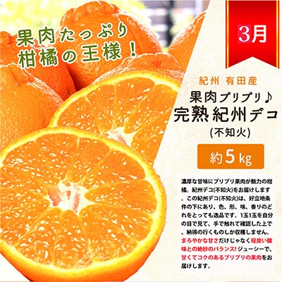 【発送月固定定期便】紀州和歌山産旬のフルーツセット(みかん・紀州デコ・清見)全3回