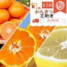 【発送月固定定期便】紀州和歌山産旬のフルーツセット(みかん・不知火・レモン)全3回