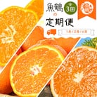 【発送月固定定期便】紀州和歌山産旬の柑橘セット(みかん・不知火・清見)全3回
