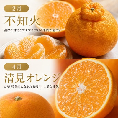 【発送月固定定期便】紀州和歌山産旬のフルーツセット(不知火・清見・スイカ・桃・柿・みかん)全6回
