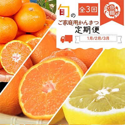 【発送月固定定期便】紀州和歌山産旬のご家庭用柑橘セット(みかん・不知火・レモン)全3回