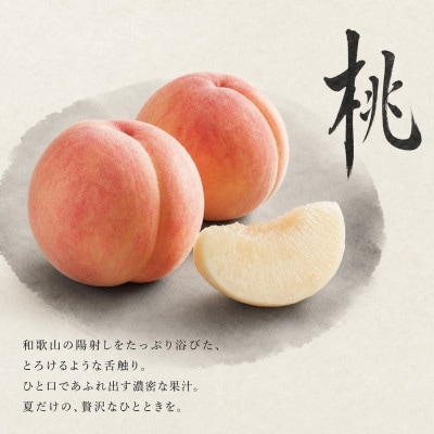 【発送月固定定期便】紀州和歌山産旬のフルーツセット(いちご・桃・有田みかん)全3回