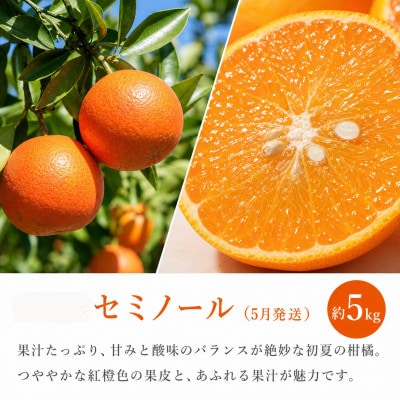 【発送月固定定期便】紀州和歌山産旬のフルーツセット(セミノール・スイカ・桃)全3回