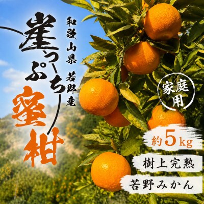 【11月下旬から順次発送】若野みかん「崖っぷち蜜柑」 約5kg 家庭用/和歌山県日高川町産