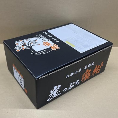 【11月下旬から順次発送】若野産崖っぷち蜜柑　家庭用　5kg