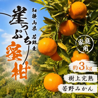 【11月下旬から順次発送】若野みかん「崖っぷち蜜柑」 約3kg 家庭用/和歌山県日高川町産
