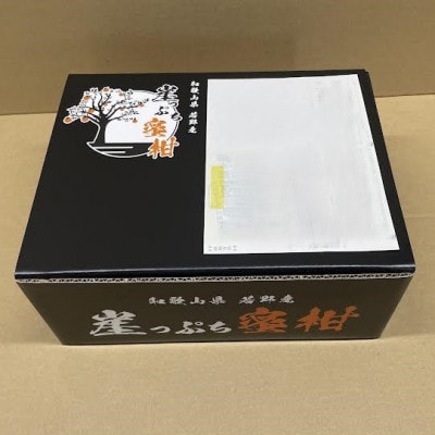 【11月下旬から順次発送】若野産崖っぷち蜜柑　家庭用　3kg