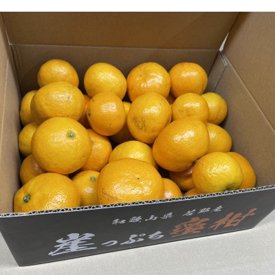 【11月下旬から順次発送】若野産崖っぷち蜜柑　家庭用　3kg