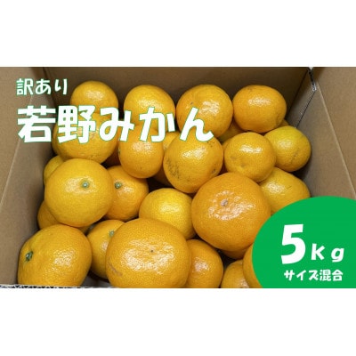 【家庭用・サイズ混合】　訳あり　若野みかん(約5kg)