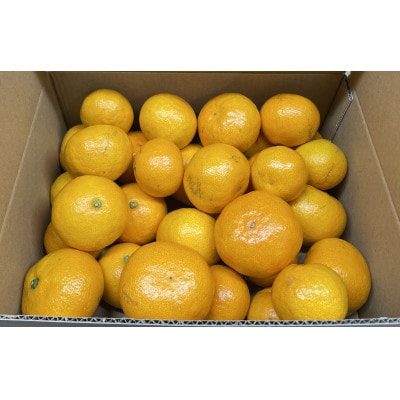 【家庭用・サイズ混合】　訳あり　若野みかん(約5kg)