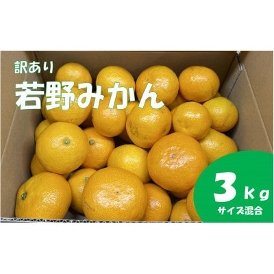 【家庭用・サイズ混合】　訳あり　若野みかん(約3kg)