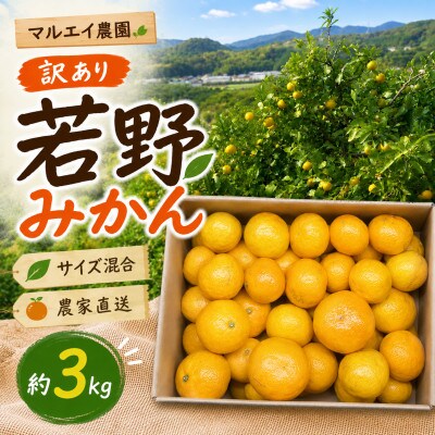 【12月発送】訳あり 完熟!若野みかん 約3kg 和歌山県日高川町産