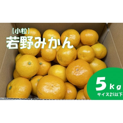 【小粒・サイズ2S以下】若野みかん(約5kg)
