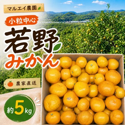 【12月発送】家庭用 小粒( 2S〜3S)　完熟!若野みかん 約5kg 和歌山県日高川町産