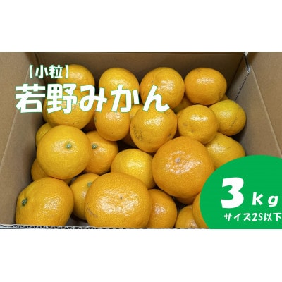 【小粒・サイズ2S以下】若野みかん(約3kg)