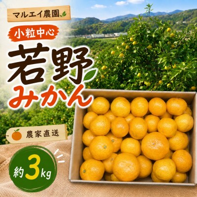 【12月発送】家庭用 小粒( 2S〜3S)　完熟!若野みかん 約3kg 和歌山県日高川町産