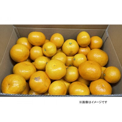 【12月発送】家庭用 小粒( 2S〜3S)　完熟!若野みかん 約3kg 和歌山県日高川町産
