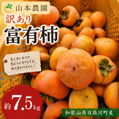 【訳あり】和歌山県産　富有柿(サイズ混合)　甘くて濃厚　約7.5kg
