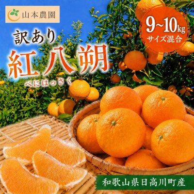 【訳あり】　和歌山県日高川町産　紅はっさく(サイズ混合)　酸味控えめ　9～10kg