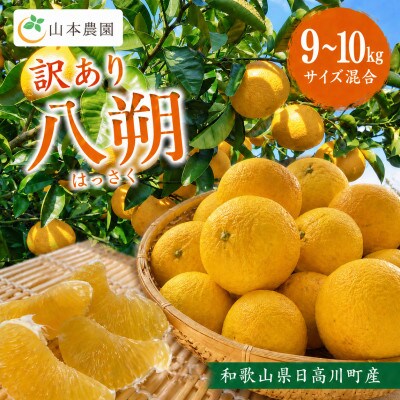 【訳あり】　和歌山県日高川町産　はっさく(サイズ混合)　甘酸っぱい　9～10kg
