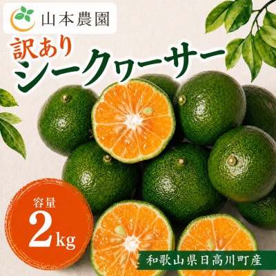【希少】和歌山県日高川町産　果汁たっぷり　シークヮーサー(サイズ混合)　約2kg