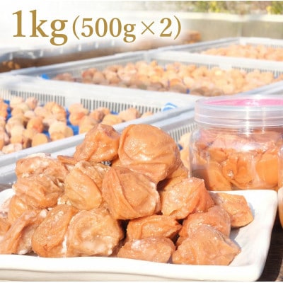 訳あり 昔ながらの白干し完熟南高梅 ≪約1kg≫ 無添加 紀州梅香 (20-G)