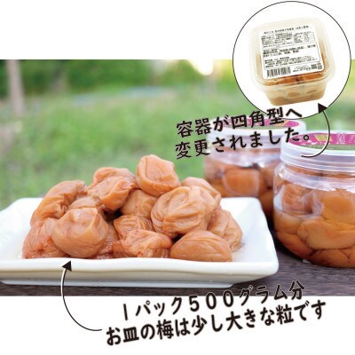 訳あり 減塩3%つぶれ梅 約1kg(500g × 2) 無添加 紀州梅香 (3-G)