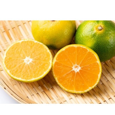 由良早生みかん(サイズ混合)3キロ