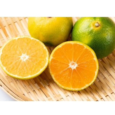 由良早生みかん(サイズ混合)5キロ