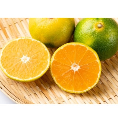 由良早生みかん(サイズ混合)10キロ