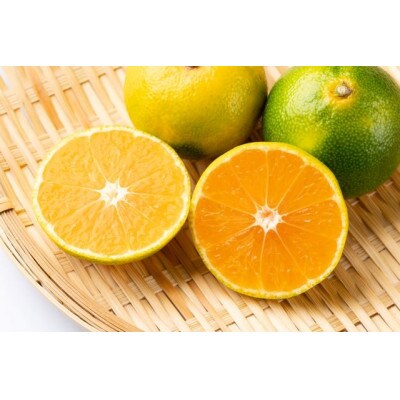 【訳あり】由良早生みかん(サイズ混合)5キロ