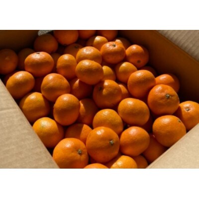 温州みかん(サイズ混合)5キロ