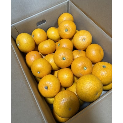 はっさく(サイズ混合)10キロ