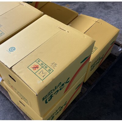 【訳あり】はっさく(サイズ混合)10キロ