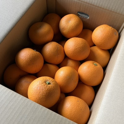 紅はっさく(サイズ混合)10キロ