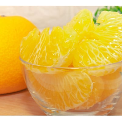 紅はっさく(サイズ混合)10キロ